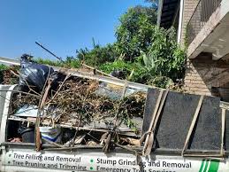 Best Office Cleanout  in Rockdale, TX